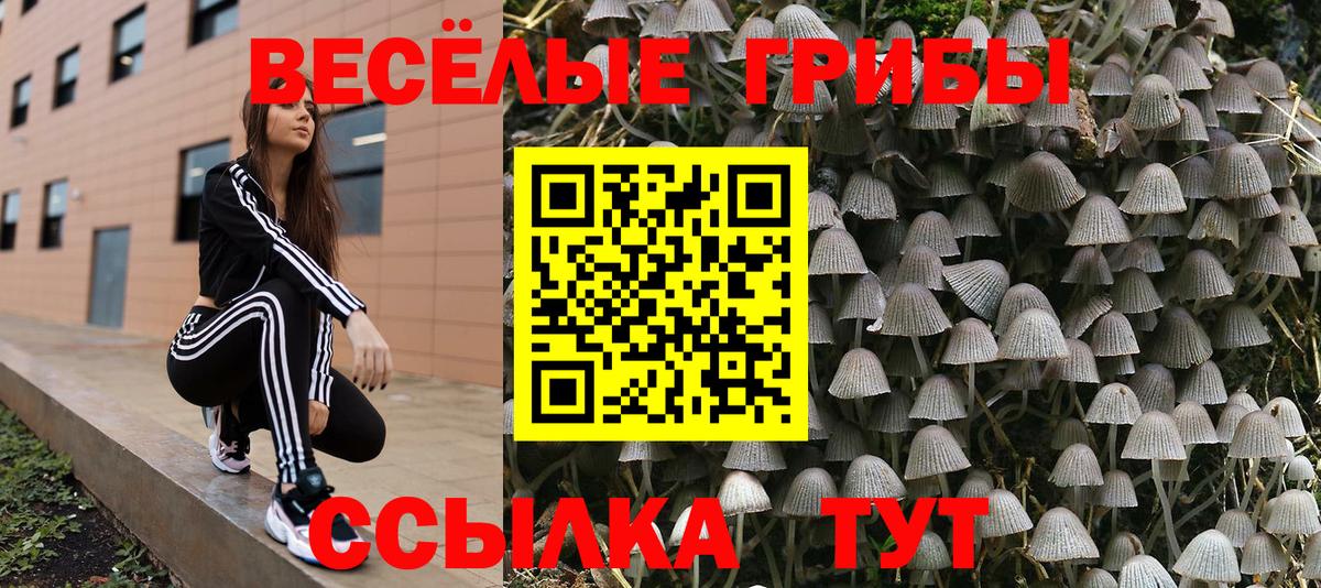 Еманжелинск  Галлюциногенные грибы GOLDEN TEACHER  Вход с VPN  Галлюциногенные грибы прущие грибы 